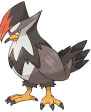 Staraptor